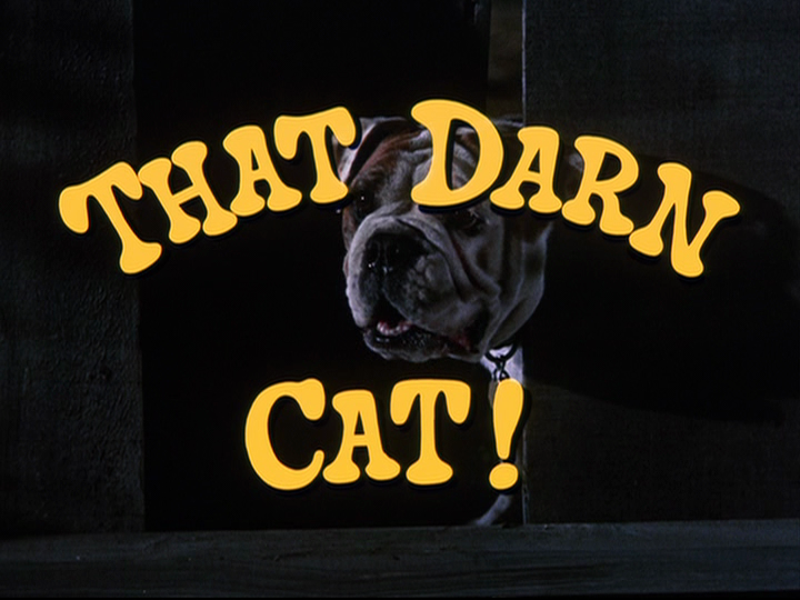 That Darn Cat [1997]