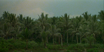 Apocalypse Now Movie Title Screen