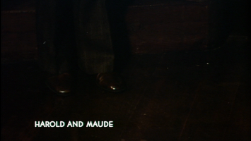Harold and Maude Movie Title Screen